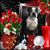 Kerstin Madden's profile image