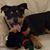 Sherry Murray's profile image