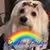 Beverly Burns's profile image