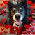 Lisa Bacon's profile image