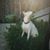 Sadie A Pibble's profile image