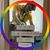 Eduardo Kessler's profile image