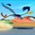 Nance Meade Kunkel's profile image