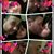 Jonathan Torres's profile image