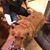 Wayne Giard's profile image