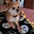 Jackie Lambert's profile image
