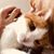 Beverly Pratt Lane's profile image