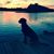 Gretchen Wiseman Brock's profile image