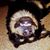 Robert Lopez's profile image