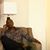 Derwin Graham's profile image