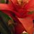 Frances Perez's profile image