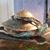 Michelle Clawson's profile image