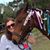 Pamela Grant Goodson's profile image