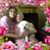 Patricia Cole Tucker's profile image