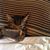 Alicia M. Minnich Sohl's profile image