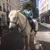 Lorraine Brennan's profile image