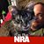 Stacey Acre's profile image
