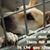 Holly Smith's profile image