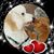Janis Dennert-Loveden's profile image
