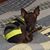 Darryl Morrell's profile image