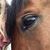 Nina Serman's profile image
