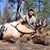 Dion Beckner's profile image