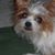 Norma Curiel's profile image