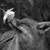 Susan McCauley's profile image