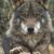 Alfredo Jose Garcia's profile image