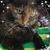 Holly Ignatowski's profile image