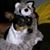 Sally VanGundy's profile image