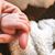 Lesley McPharlin Coffee's profile image