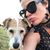 Amanda Greer's profile image