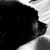 Valerie Safarik Volkmann's profile image