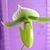 Marcie Olson's profile image