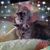 Mary Lee Tielens's profile image