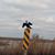 Kenneth Wallace Voigt's profile image