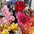 Annette Faley's profile image