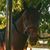 Gretchen Mangels Sparks's profile image