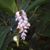 JohnandSue Holm's profile image