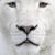 Wendy Kahles's profile image