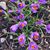 Nancy Wynne-Toolen's profile image