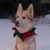 Jennifer Kilroy Harrison's profile image