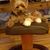 Rose E Martin's profile image