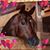 Becky Barnard's profile image