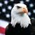 Skip Harr's profile image