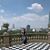 Reveca Islas's profile image