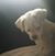 Carolyn Piasky's profile image