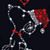 Darlene LaPointe's profile image