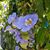 Archana Manoharan's profile image